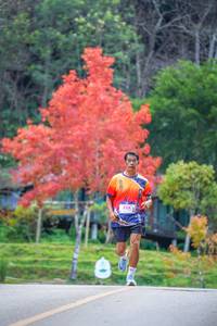 BIB: 
                            <button type="button" onclick="openModal(19239203)" class="btn btn-primary btn-sm float-right btn-popup" data-toggle="modal" data-target=".modal-high-quality">
                        <i class="fas fa-shopping-cart"></i> Add to Cart
                    </button>
                                            <button type="button" onclick="isThisMe(19239203, true)" class="btn btn-success btn-sm float-right btn-popup btn-isme hidden" data-toggle="tooltip" data-placement="bottom" title="นี่คือรูปของคุณใช่ไหม คลิกที่นี่เพื่อเอาเข้าอัลบั้ม">
                        <i class="fas fa-plus"></i> Add to album
                    </button>
                    <button type="button" onclick="isThisMe(19239203, false)" class="btn btn-warning btn-sm float-right btn-popup btn-isnotme hidden">
                        <i class="fas fa-ban"></i> Remove from album
                    </button>